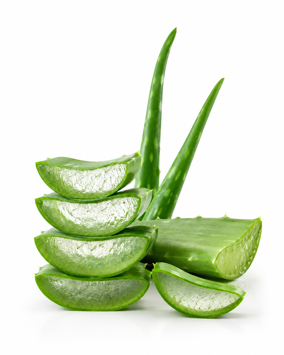 Aloe Extract Powder - Image 2