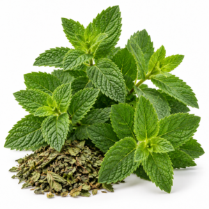 Peppermint Teabags