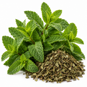 Spearmint Leaf Tea Bags