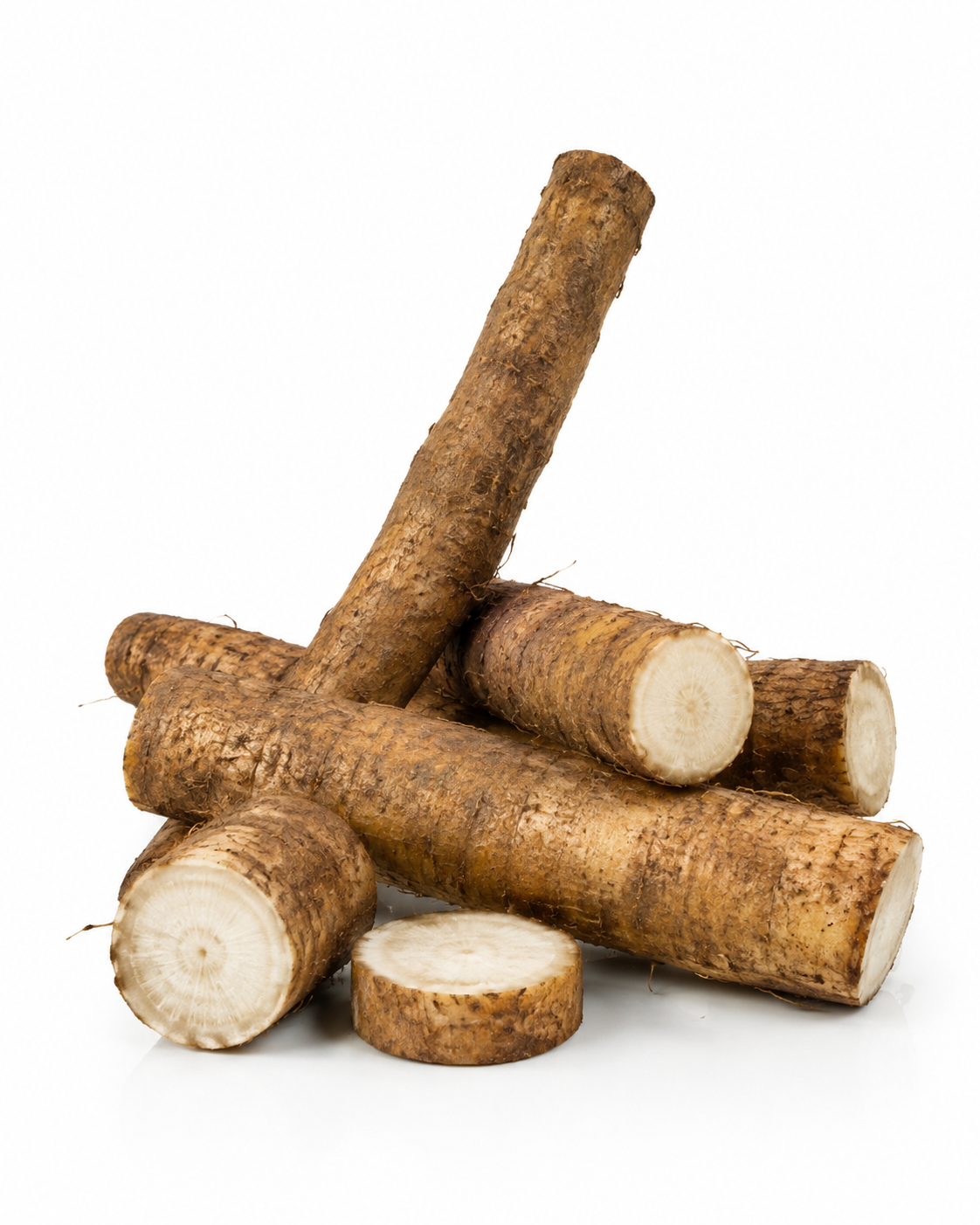 Burdock Root - Image 2