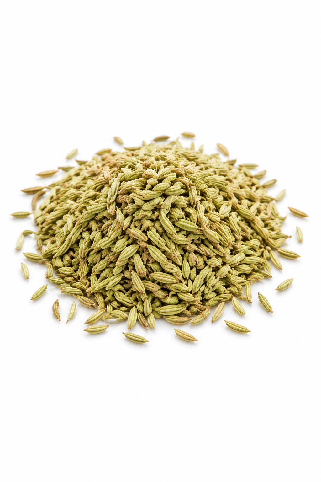 Fennel Seeds - Image 2