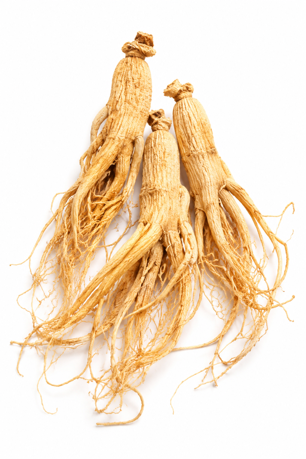 Ginseng Root Extract Powder - Image 2