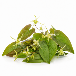 Horny Goat Weed Powder