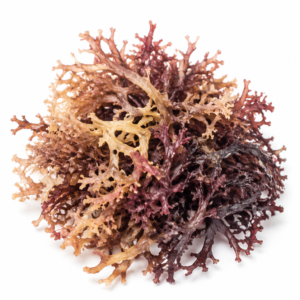 Irish Moss Powder