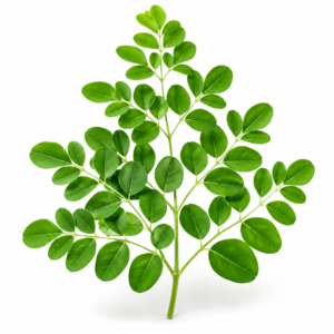Moringa Leaf Powder