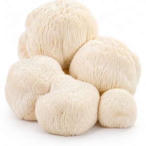Lion's Mane Mushroom Extract