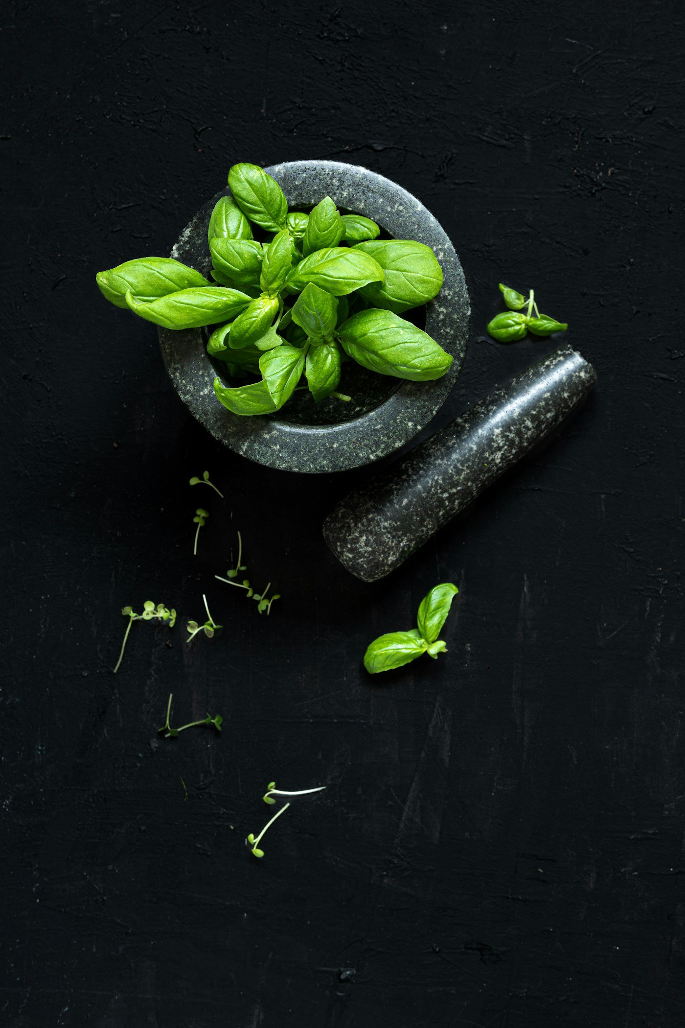 Fresh basil leaves in a stone mortar on a dark surface